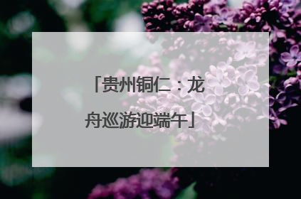 贵州铜仁：龙舟巡游迎端午
