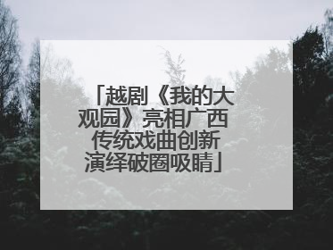 越剧《我的大观园》亮相广西 传统戏曲创新演绎破圈吸睛