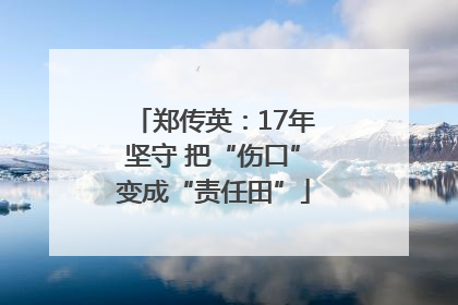 郑传英：17年坚守 把“伤口”变成“责任田”