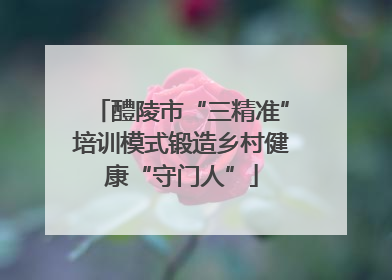 醴陵市“三精准”培训模式锻造乡村健康“守门人”