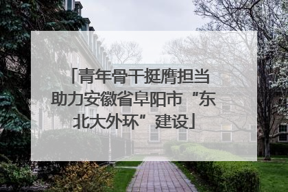 青年骨干挺膺担当 助力安徽省阜阳市“东北大外环”建设