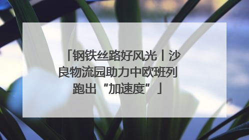 钢铁丝路好风光丨沙良物流园助力中欧班列跑出“加速度”