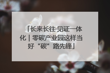 长来长往·见证一体化｜零碳产业园这样当好“碳”路先锋