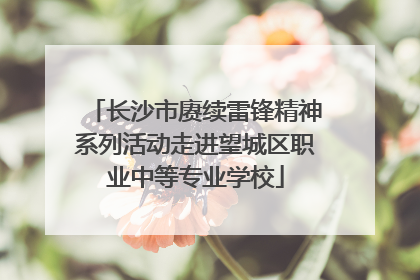 长沙市赓续雷锋精神系列活动走进望城区职业中等专业学校