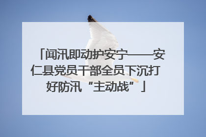 闻汛即动护安宁——安仁县党员干部全员下沉打好防汛“主动战”