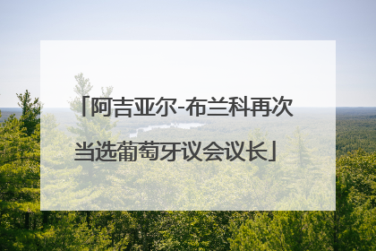 阿吉亚尔-布兰科再次当选葡萄牙议会议长