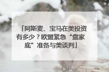 阿斯麦、宝马在美投资有多少？欧盟紧急“盘家底”准备与美谈判