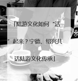 陆游文化如何“活 ”起来？宁德、绍兴共话陆游文化传承