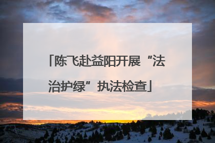 陈飞赴益阳开展“法治护绿”执法检查