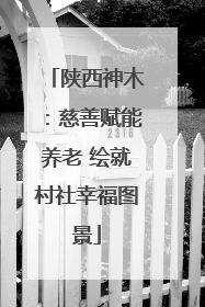 陕西神木：慈善赋能养老 绘就村社幸福图景