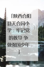 陕西合阳县天合园小学：牢记党的教导 争做强国少年