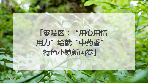 零陵区：“用心用情用力”绘就“中药香”特色小镇新画卷