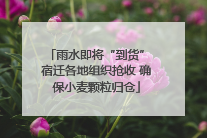 雨水即将“到货” 宿迁各地组织抢收 确保小麦颗粒归仓