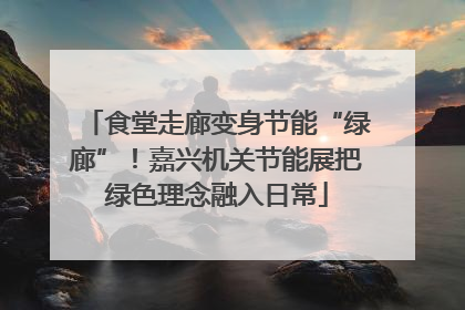 食堂走廊变身节能“绿廊”！嘉兴机关节能展把绿色理念融入日常