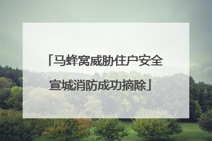 马蜂窝威胁住户安全 宣城消防成功摘除