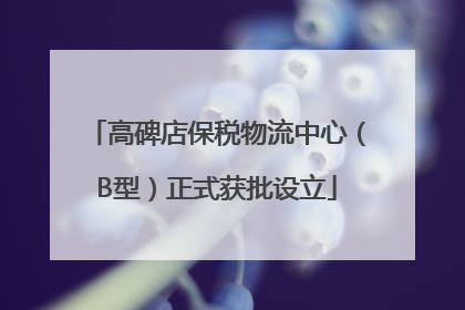 高碑店保税物流中心（B型）正式获批设立