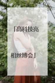高科技亮相丝博会