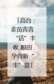 高台：麦苗青青“话”丰收 粮田孕育新“丰”景