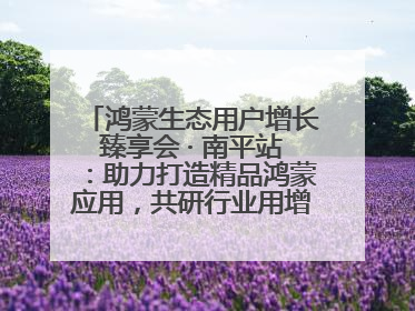 鸿蒙生态用户增长臻享会 · 南平站：助力打造精品鸿蒙应用，共研行业用增解决方案