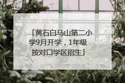 黄石白马山第二小学9月开学，1年级按对口学区招生