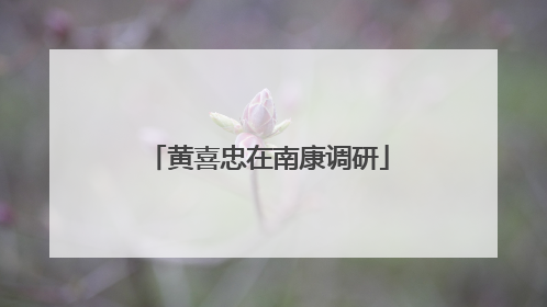 黄喜忠在南康调研