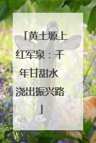 黄土塬上红军泉：千年甘甜水 浇出振兴路