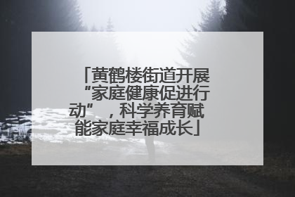 黄鹤楼街道开展“家庭健康促进行动”，科学养育赋能家庭幸福成长