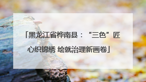 黑龙江省桦南县：“三色”匠心织锦绣 绘就治理新画卷