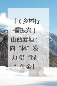 （乡村行·看振兴）山西襄垣：向“林”发力 借“绿”生金