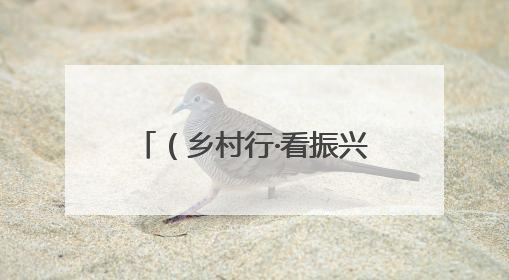 （乡村行·看振兴）镇上建起“土地驿站” 农田变良田撑起农民“钱袋子”