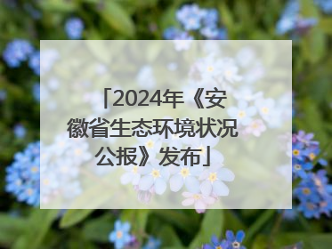 2024年《安徽省生态环境状况公报》发布