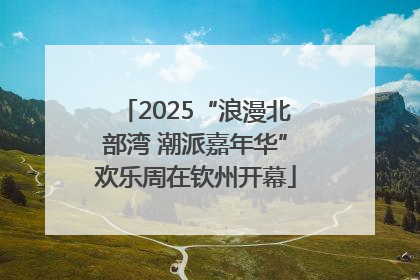 2025“浪漫北部湾 潮派嘉年华”欢乐周在钦州开幕