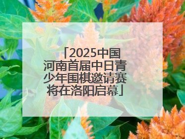 2025中国河南首届中日青少年围棋邀请赛将在洛阳启幕