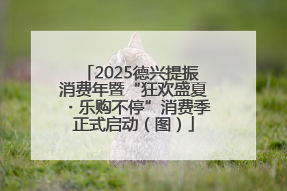 2025德兴提振消费年暨“狂欢盛夏・乐购不停”消费季正式启动（图）