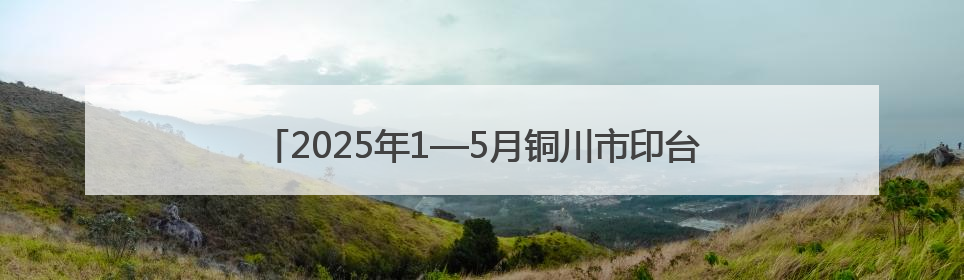 2025年1—5月铜川市印台区减免企业税费 3757万元