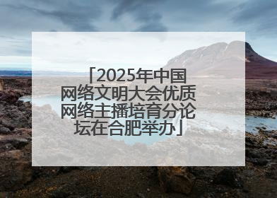 2025年中国网络文明大会优质网络主播培育分论坛在合肥举办