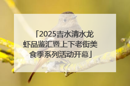 2025吉水清水龙虾品鉴汇暨上下老街美食季系列活动开幕