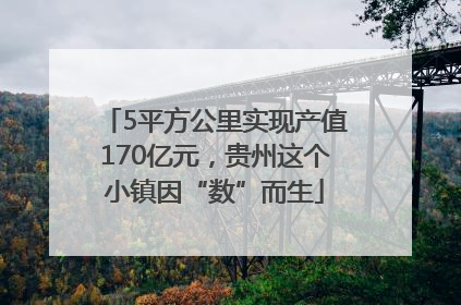 5平方公里实现产值170亿元，贵州这个小镇因“数”而生