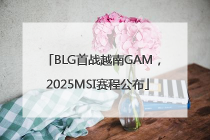 BLG首战越南GAM，2025MSI赛程公布