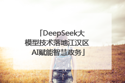 DeepSeek大模型技术落地江汉区 AI赋能智慧政务