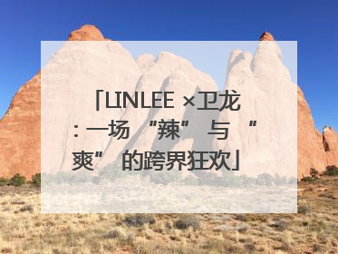 LINLEE ×卫龙：一场 “辣” 与 “爽” 的跨界狂欢