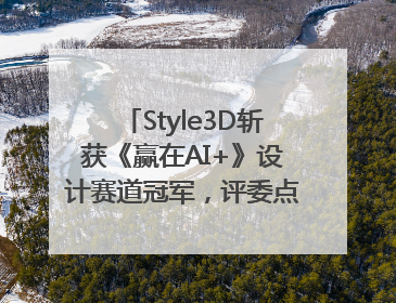 Style3D斩获《赢在AI+》设计赛道冠军，评委点评：AI+3D技术世界第一